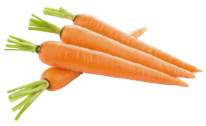 Carrot PNG image-4985